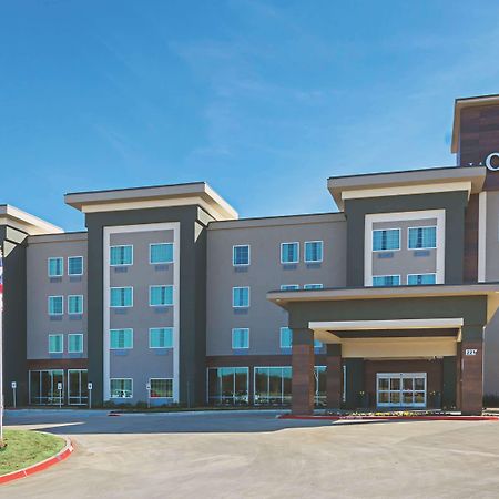 La Quinta By Wyndham Dallas - Wylie Zewnętrze zdjęcie