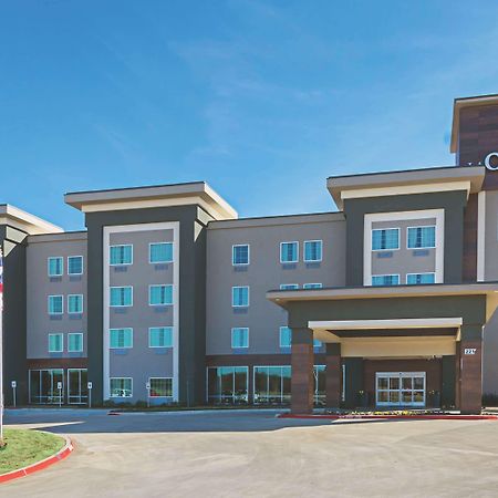 Hotel La Quinta By Wyndham Dallas - Wylie Zewnętrze zdjęcie